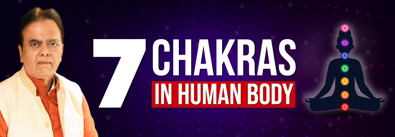 7 Chakras in the Body 
